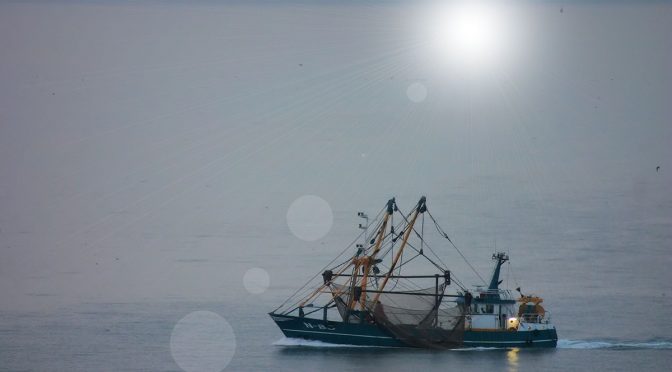 Kuninkaan lupaus (1666) kalastusoikeudesta voimassa